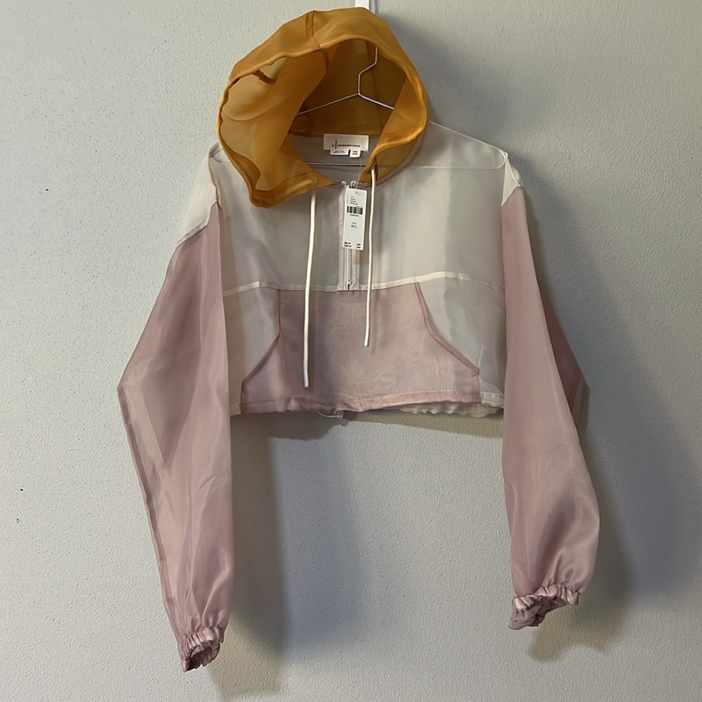 Sporty Sheer Cropped Hoodie via ANTHROPOLOGIE - Picture 7 of 9